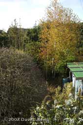 Looking down the garden