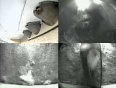 Composite cctv image recorde this morning