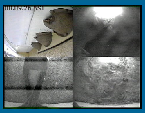 Webcam image at just after 8am this morning