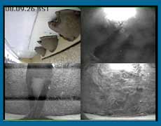 Webcam image at just after 8am this morning