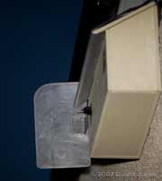 Male Starling watching for Swifts as night falls