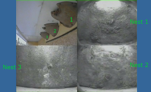 House Martin Webcam image