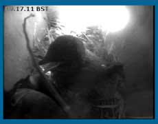 The chicks squabble again