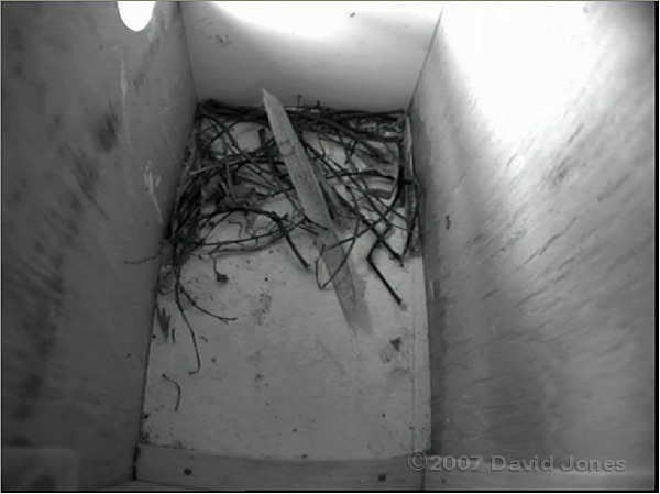 The left-hand Starling nest box