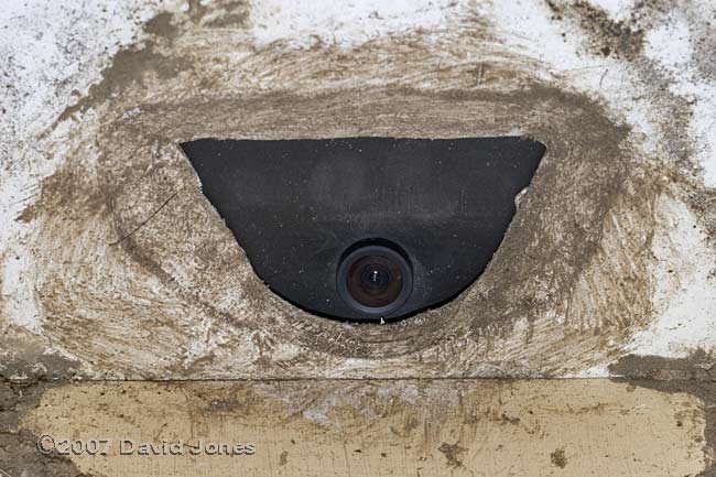CCTV camera arrangement for House Martin nests - close-up