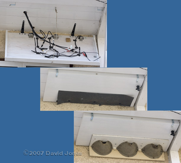 House Martin nest arrangement in place