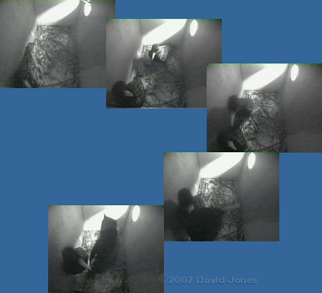 Sequence in box 1 - part 1