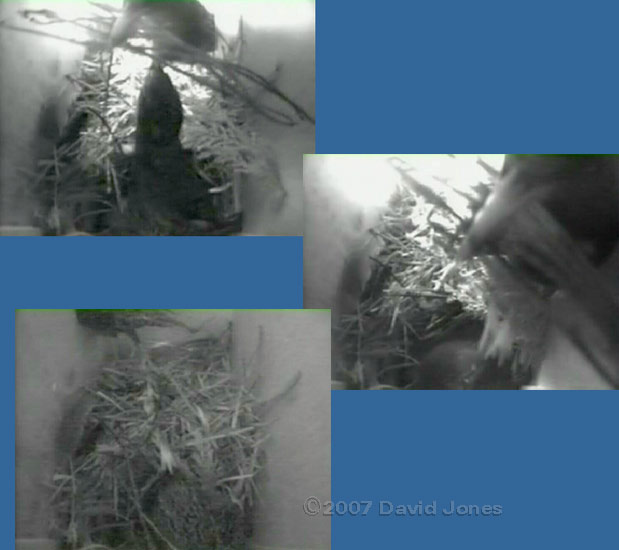 Sequence in box 1 at 11.36am