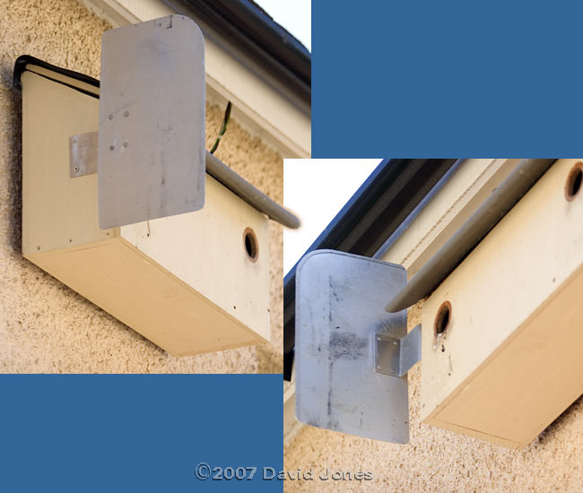 Screen added to Starling box