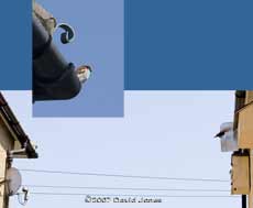 Starling box in relation to neighbours' roof