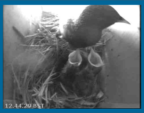 webcam image, 12.44pm