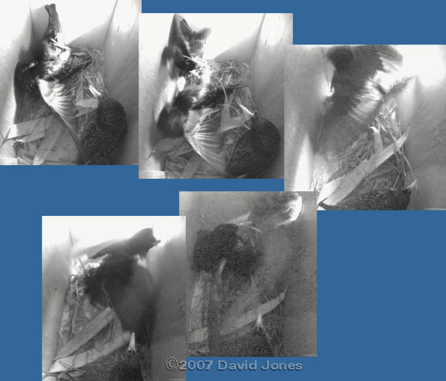 The second attack on box 2