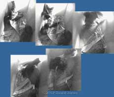 The second attack on box 2