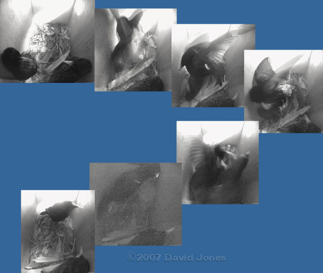 The third attack on box 2