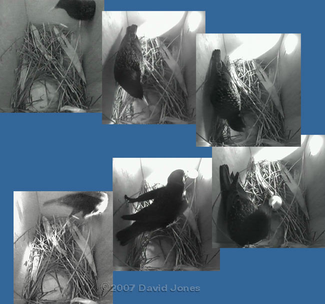 The egg is stolen from box 2