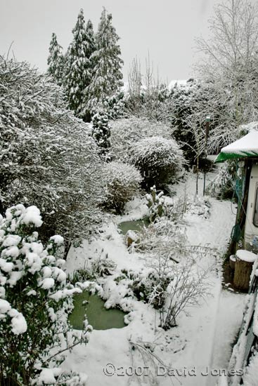 Snow covers the garden at dawn