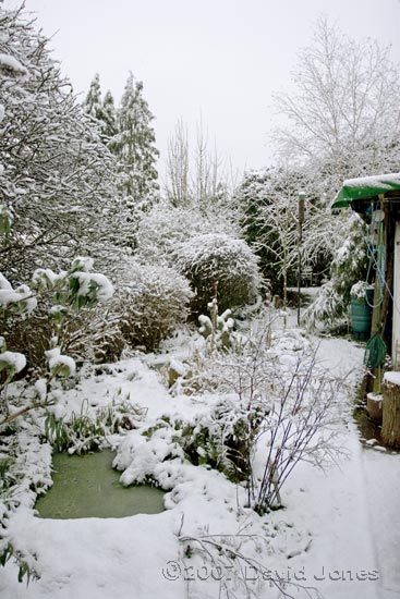 Snow on the garden, but not on the pond