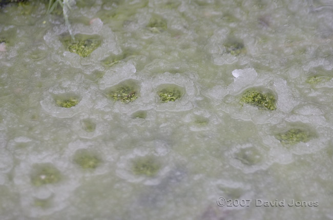 Soft ice on the small pond