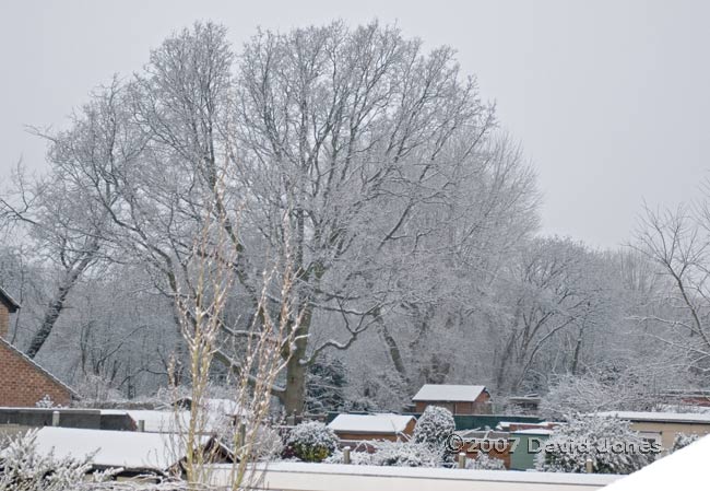 Snow over Brickfields Country Park