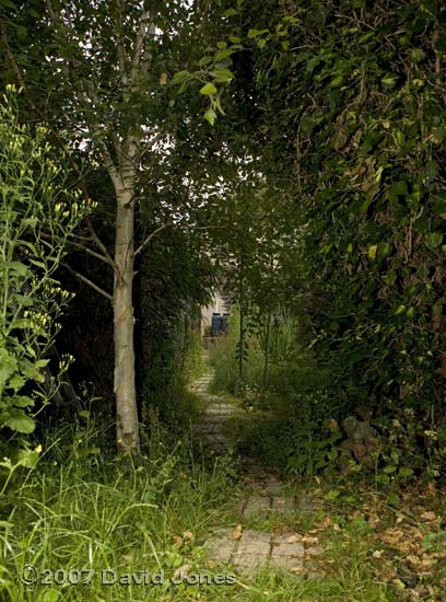 Garden view 3 - towards the house from the West Wing