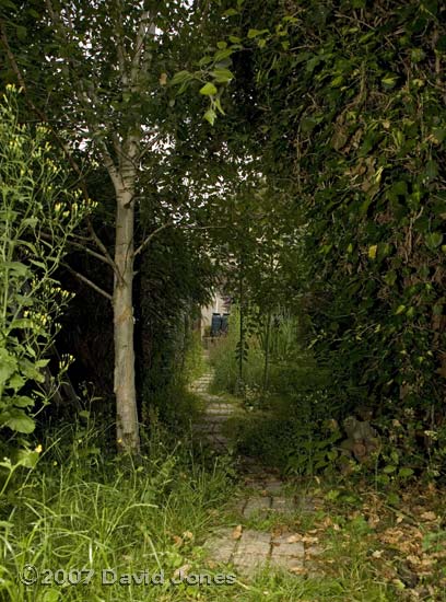 Garden view 3 - towards the house from the West Wing