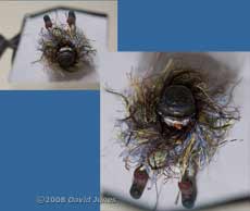 Test image captured using the Front-silvered mirror arrangement