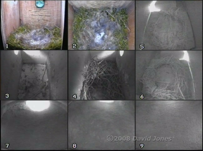 Composite view of all nine nest boxes