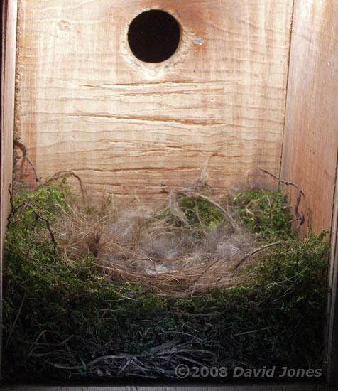 The Great Tits' nest tonight, 4 April