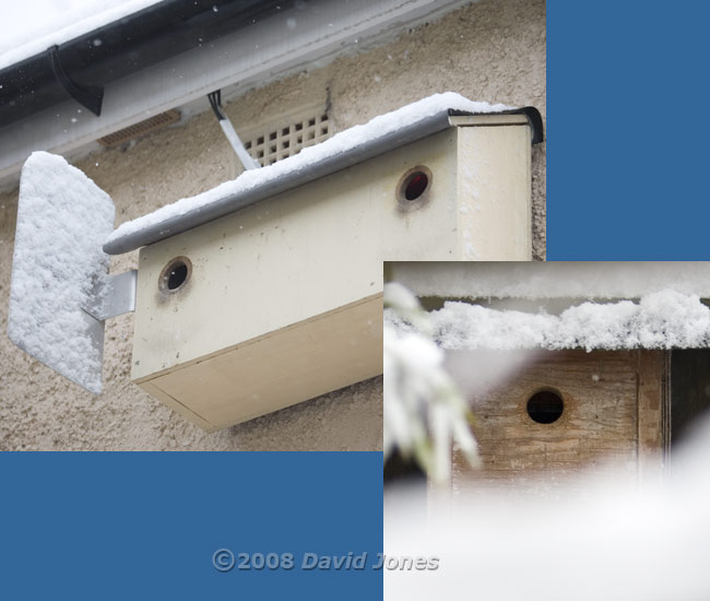 Snow on the bird boxes
