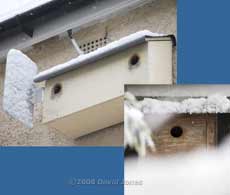 Snow on the bird boxes