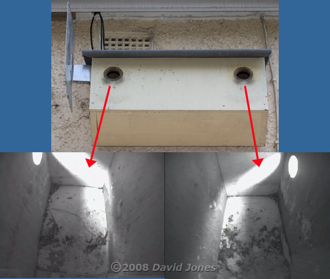 The Starling nestboxes