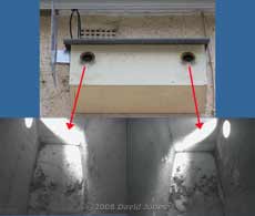 The Starling nestboxes