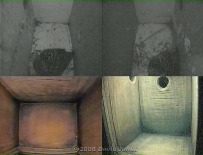 Composite cctv image showing Starlings roosting and Tit box images