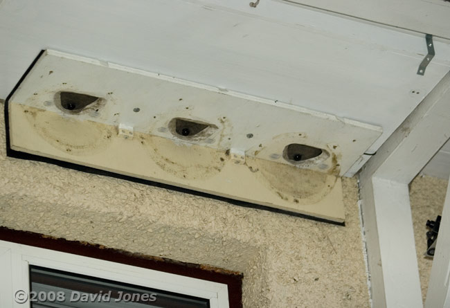 House Martin nestbox framework in place