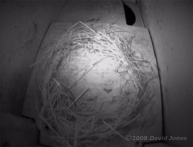 Swift nestboxes - interior of lower box at night