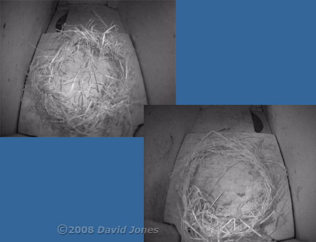 Swift nestboxes - cctv views after dark