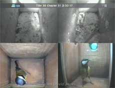 Great Tit visits nestbox at 7.30am