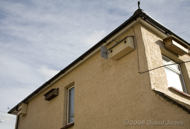 House, showing position of Starling boxes