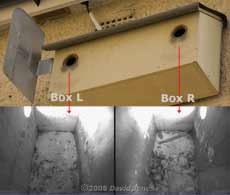 Starling boxes and cctv images