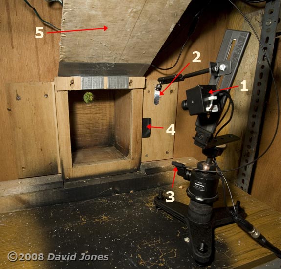 The Blue/Great Tit box - camera position