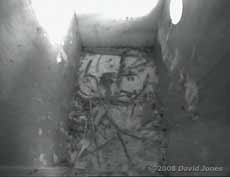 Starling nestbox R with the first signs of nest building