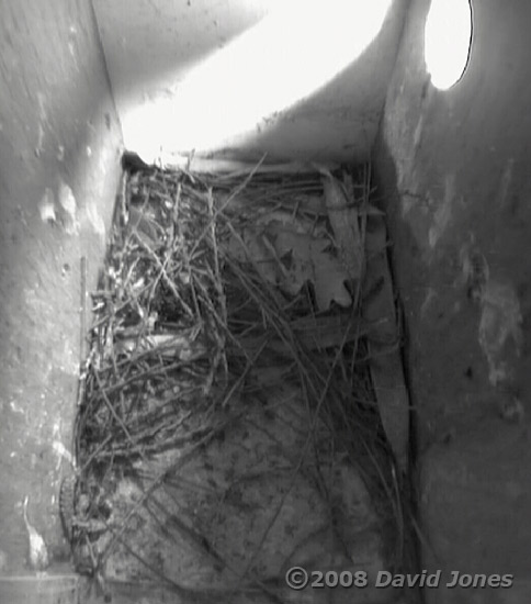 Nest box R at noon