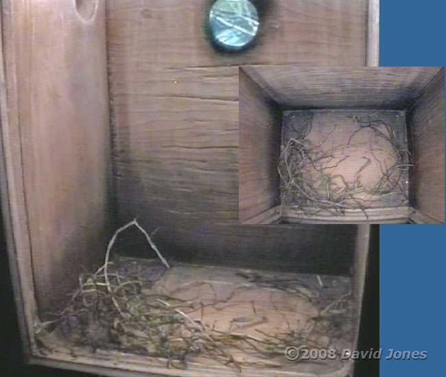 Great Tit nestbox at 6pm