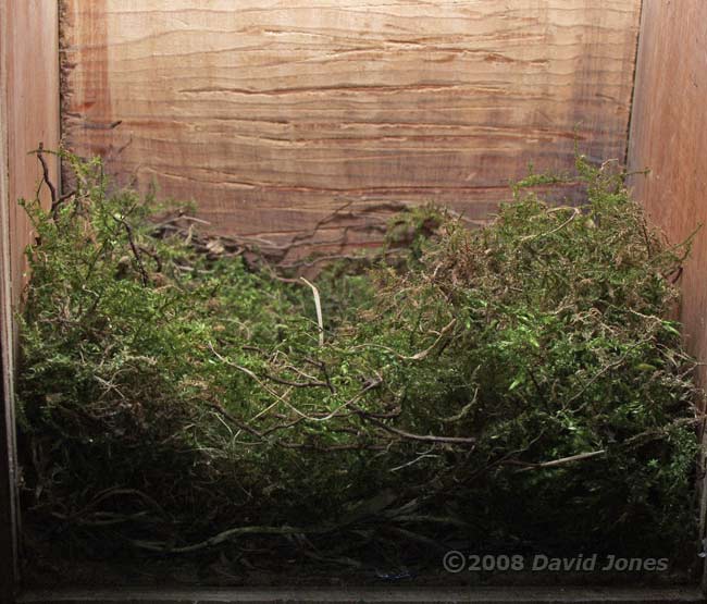 Great Tit nest - taken with Olympus E-20 camera tonight