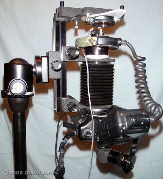 Inverted macro set-up to photograph the ventral surface of a spider