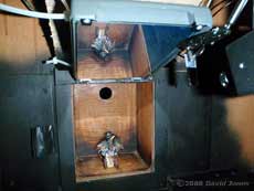 Great Tit nestbox - showing the mirror in action