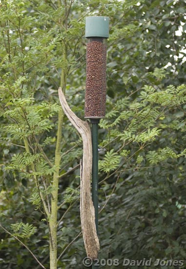 Tall peanut feeder