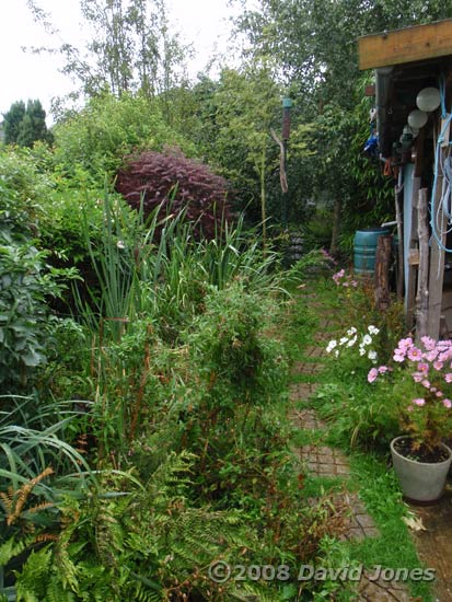 The garden on a dull, wet day