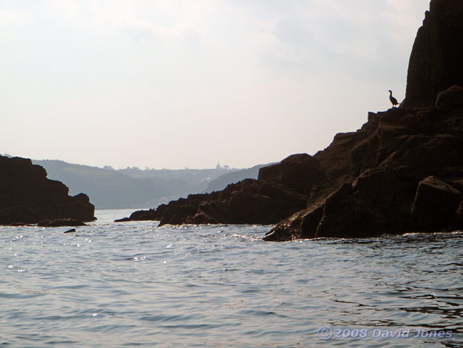 Looking towards Porthallow past the rocks off Nare Head - 1