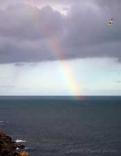 Rainbow off Lizard Point